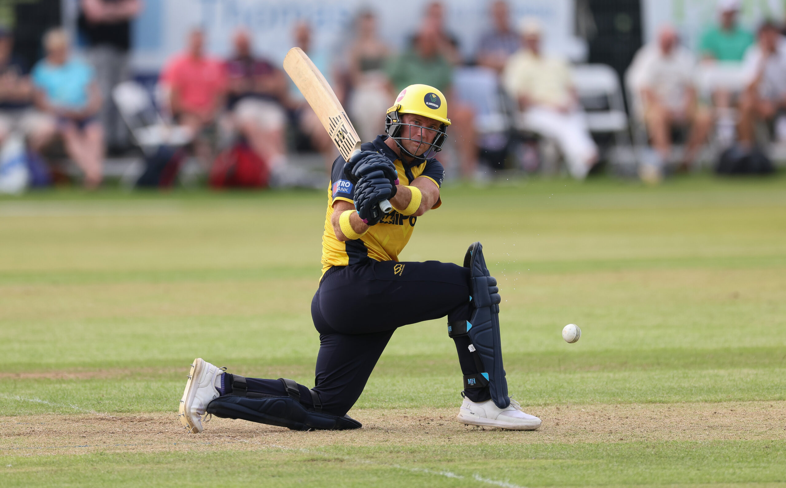 Colin Ingram batting in the One-Day Cup