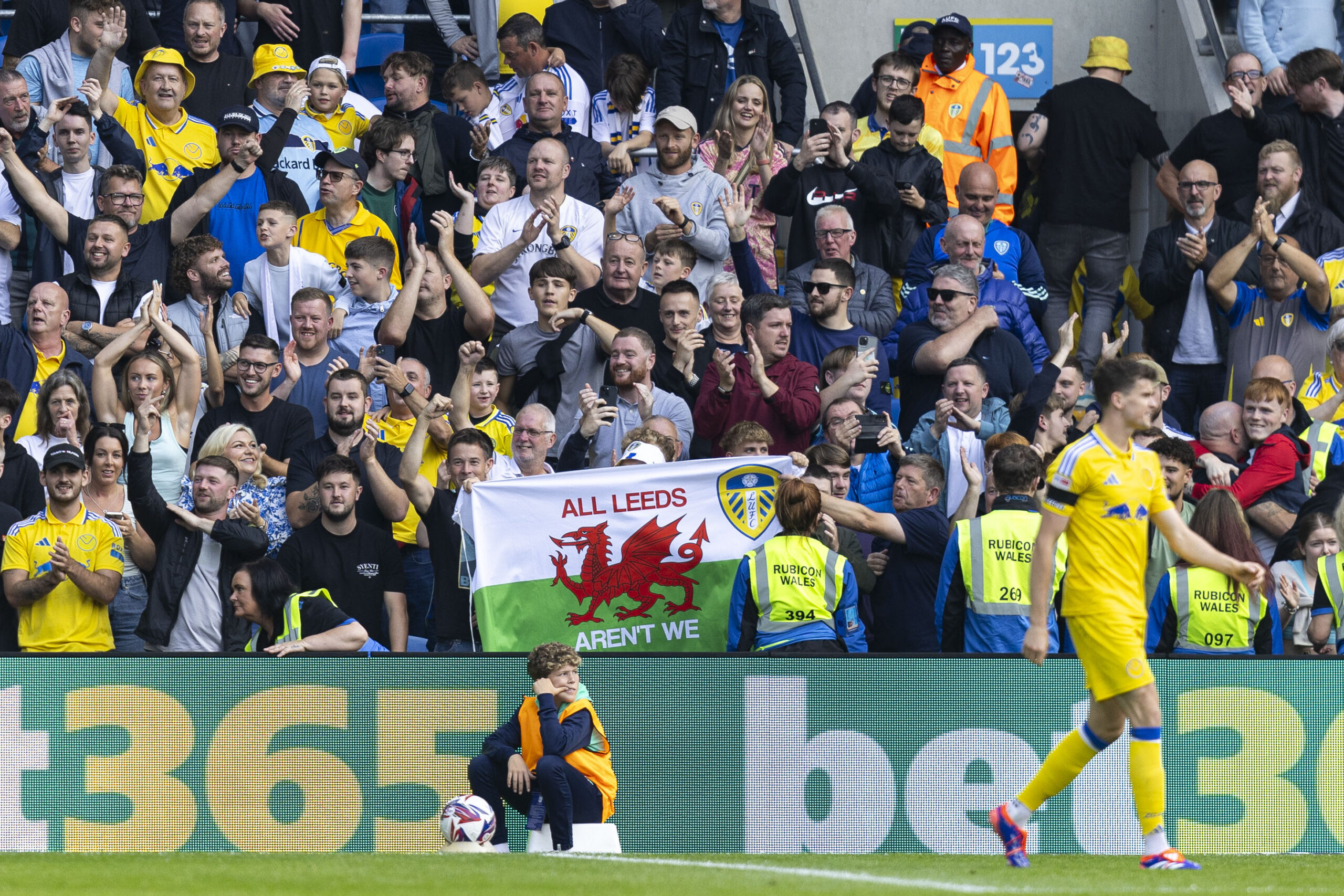 Former Swansea striker Joel Piroe pilled on the pain for Cardiff.