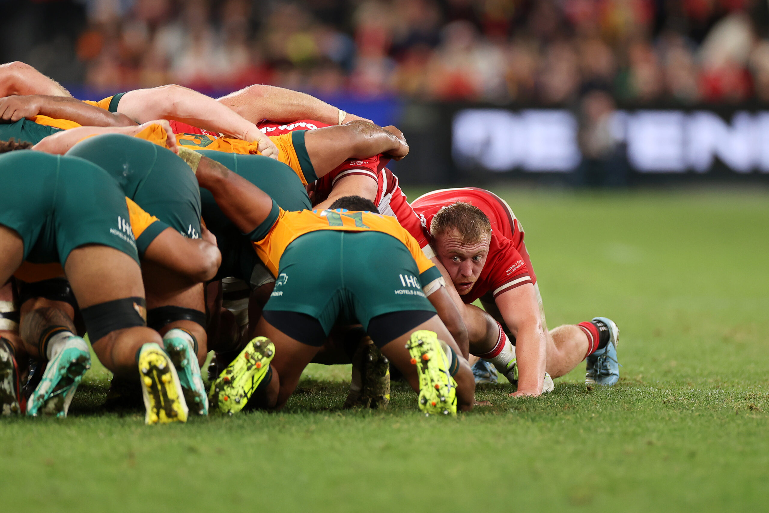 06.07.24 - Australia v Wales - Summer Series - First Test - Tommy Reffell of Wales