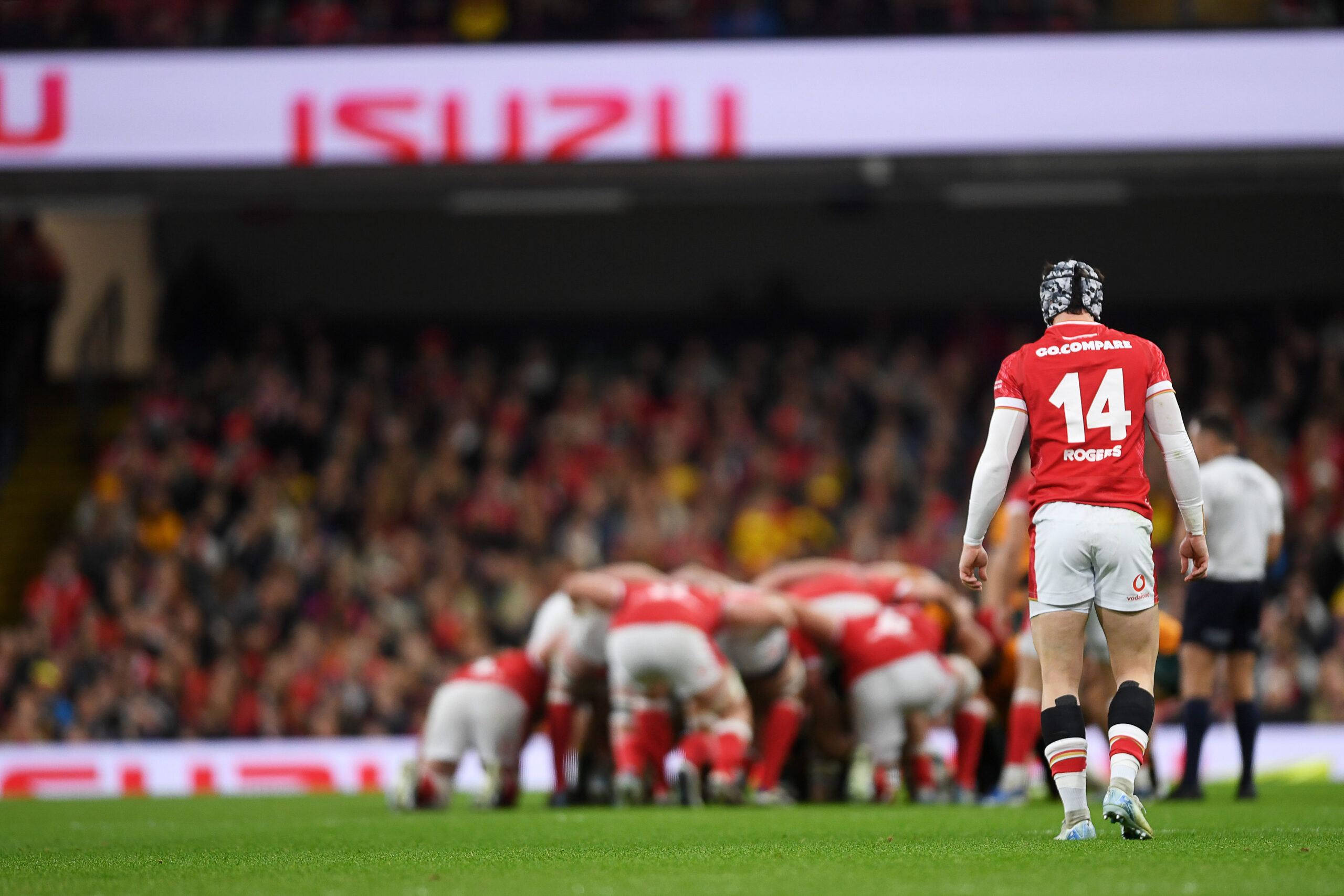 17.11.24 - Wales v Australia - Autumn Nations Series - Tom Rogers of Wales.